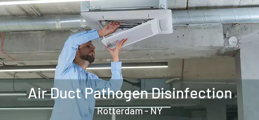  Air Duct Pathogen Disinfection Rotterdam - NY