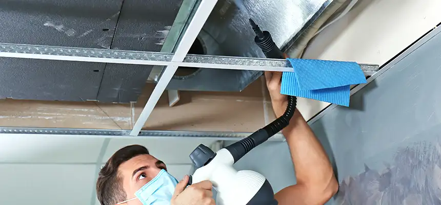Our Air Duct Rodent Removal Services in Rotterdam, NY