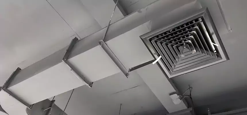 Restorative Allergy Relief Vent Cleaning – Coil, Blower & Housing Detail in Rotterdam