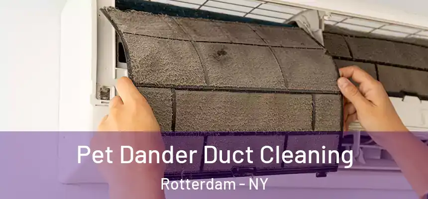  Pet Dander Duct Cleaning Rotterdam - NY