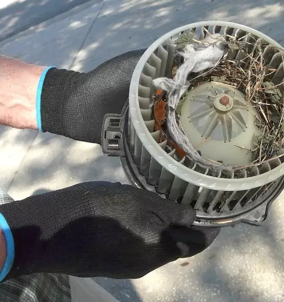 About Air Duct Mice Removal in Rotterdam, NY