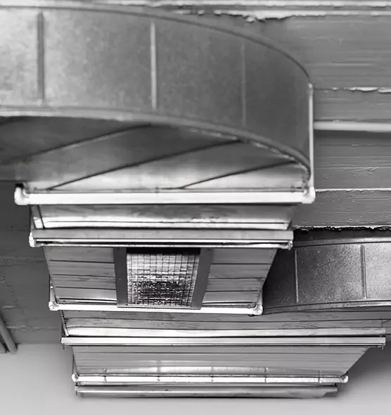 Professional Air Duct Pest Removal in Rotterdam, NY