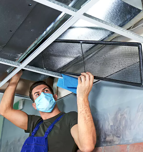 Professional Air Duct Pollen Cleaning in Rotterdam, NY