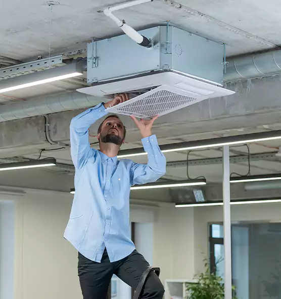 Advanced Rodent Droppings In Vents in Rotterdam, NY