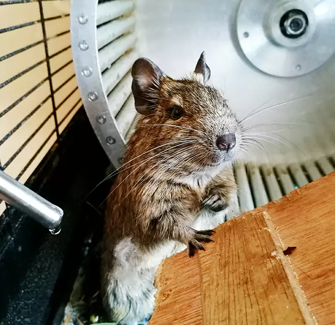 Why Homeowners & Businesses Trust Us Rotterdam, NY